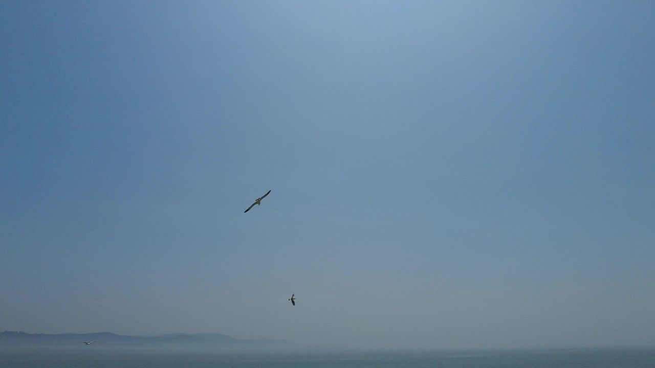 蓝色海洋大海海鸥岛屿浪花风景实拍 