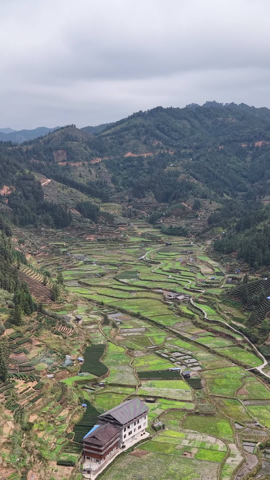 山间梯田风光