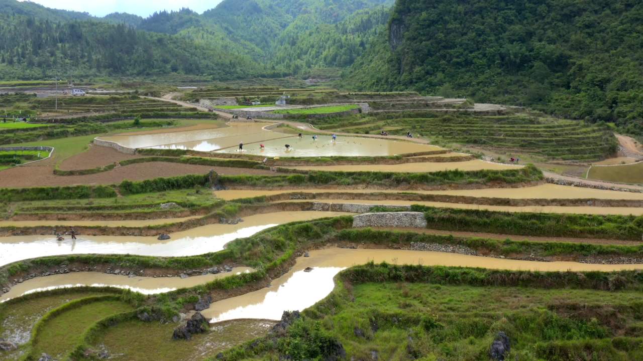 梯田劳作的宁静时光