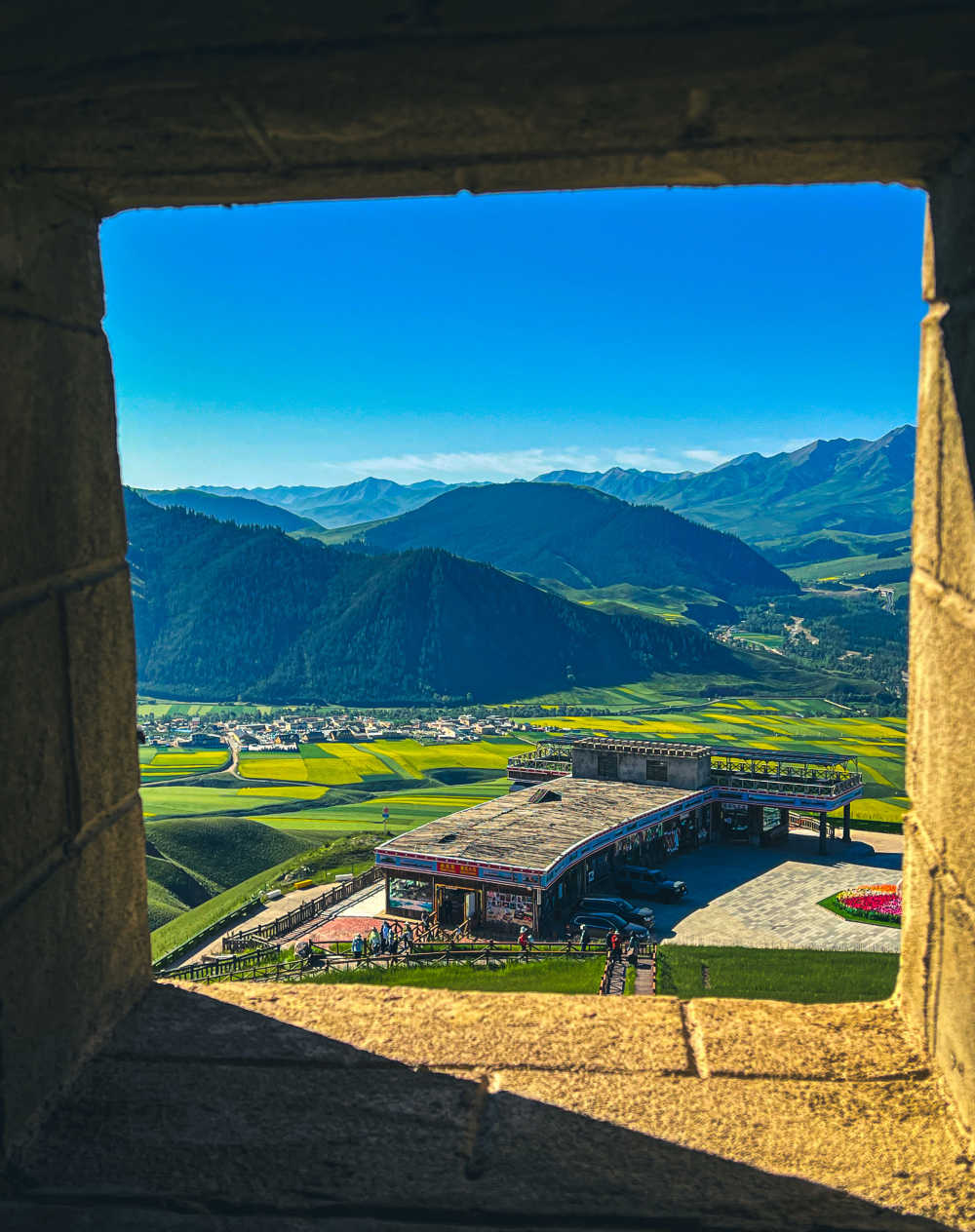 卓尔山顶