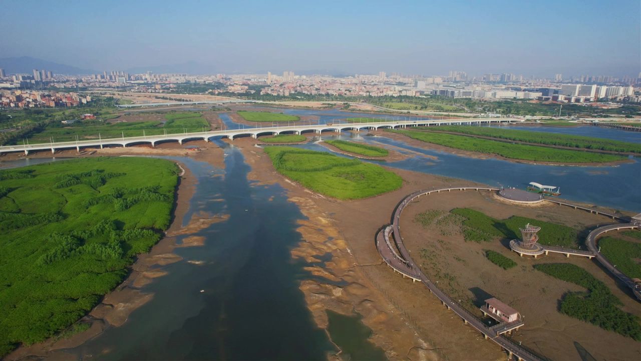 厦门航拍下潭尾湿地公园