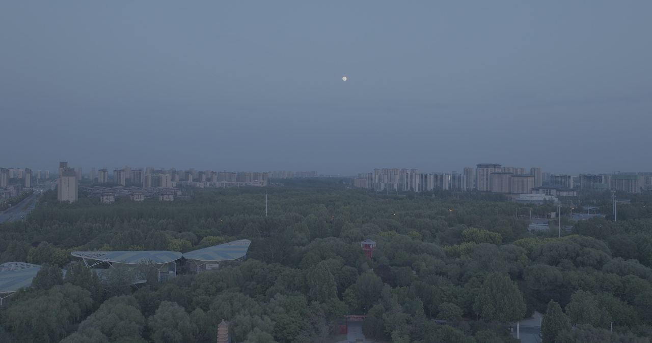 城市公园黄昏月景