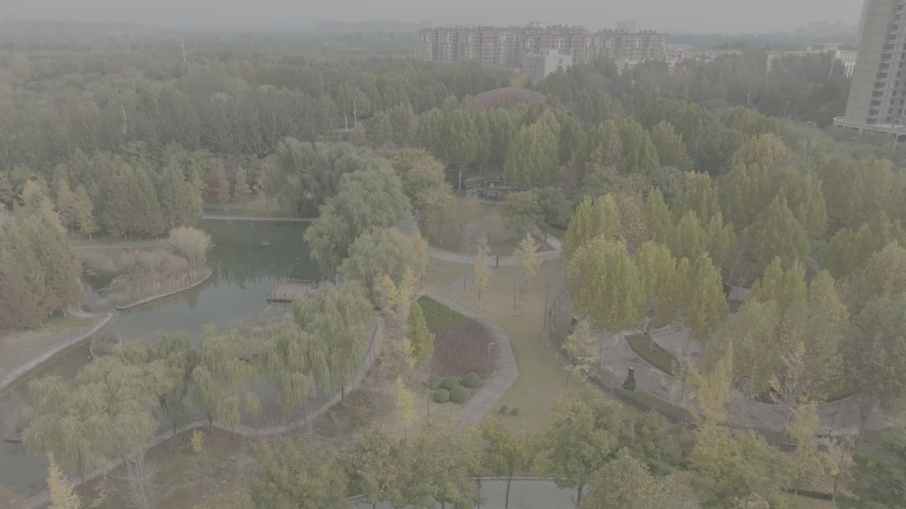 城市中的绿洲