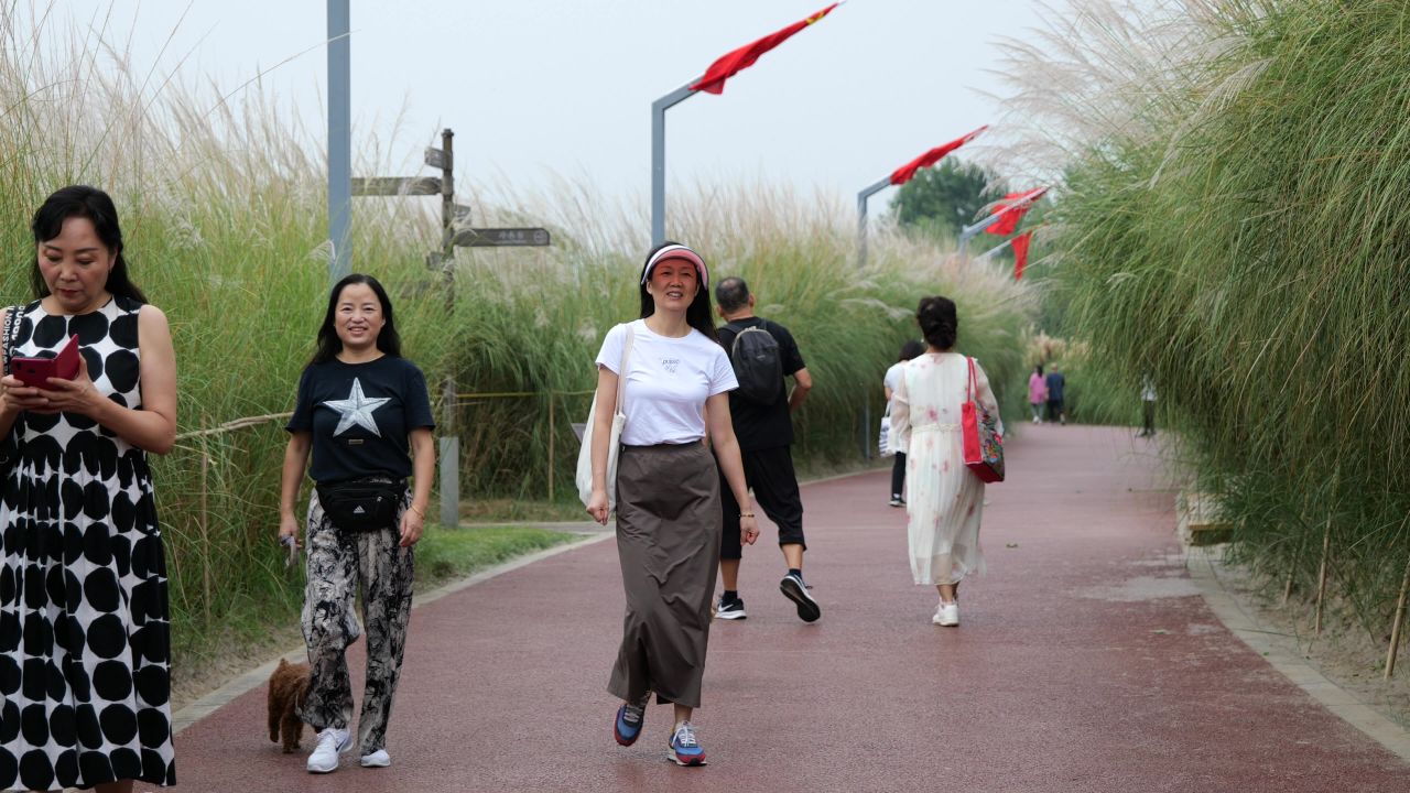 国庆江边芦苇荡 20