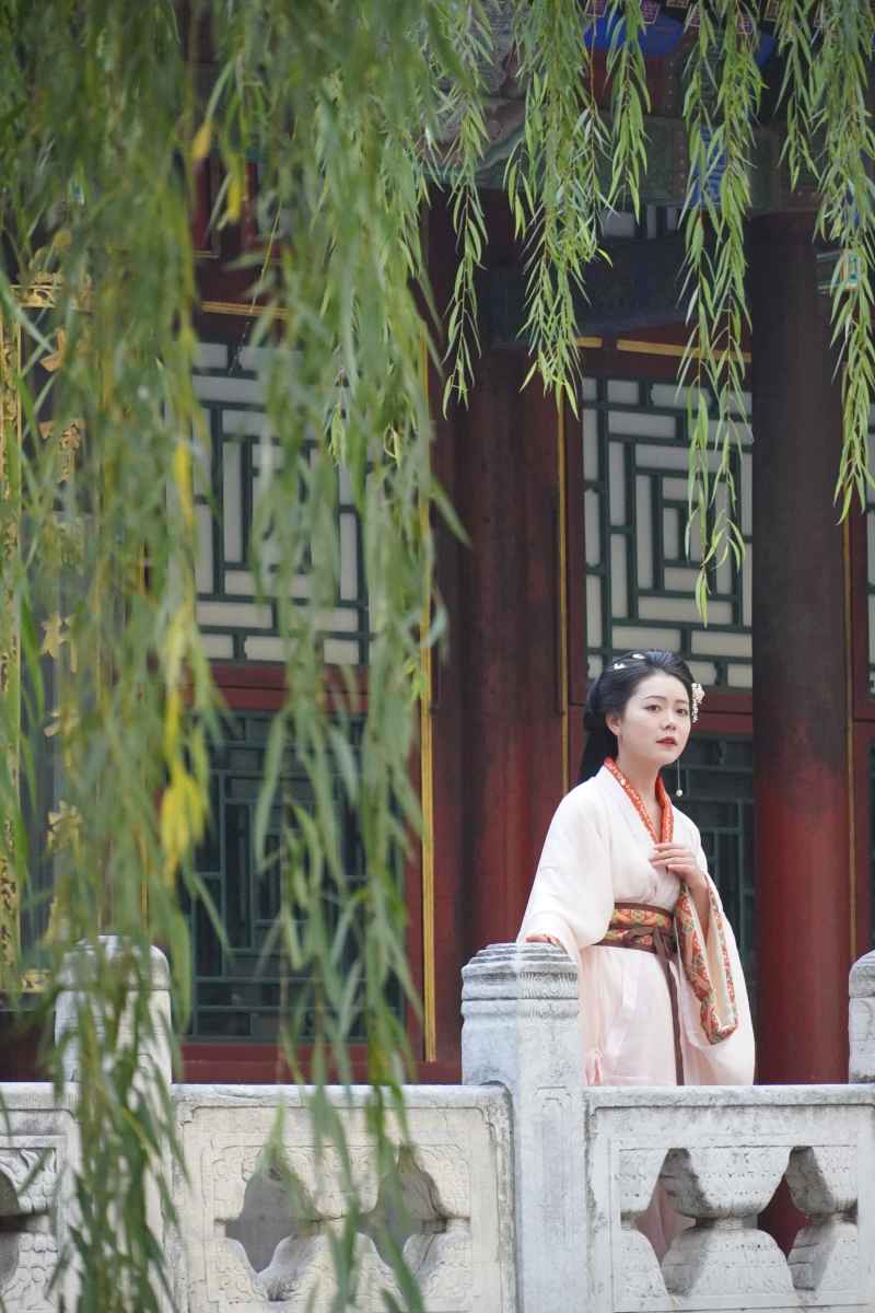 梦中华