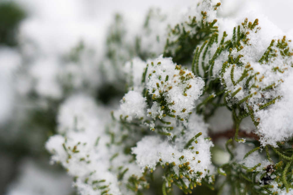 雪景