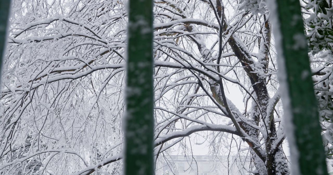 湖南长沙岳麓山爱晚亭城市雪景风光 3