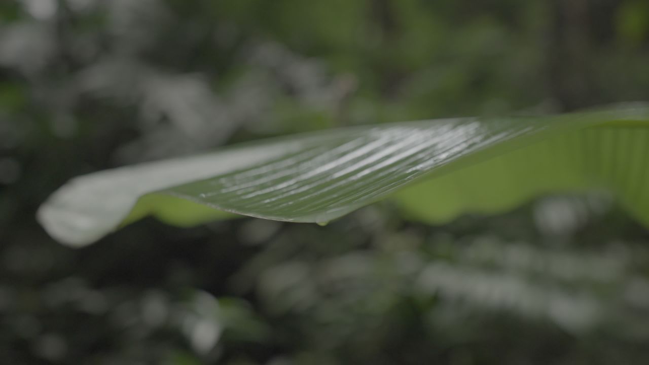 天坑 19