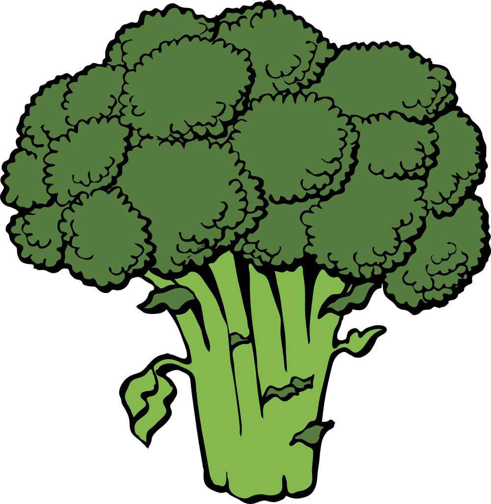 西兰花束头绿色十字花科健康新鲜原蔬菜食品素营养绿色食品