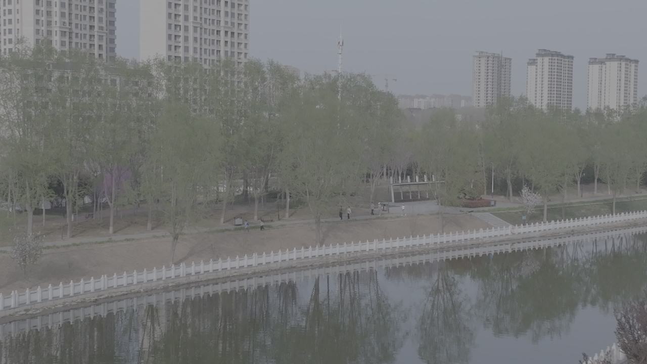 城市中的绿洲