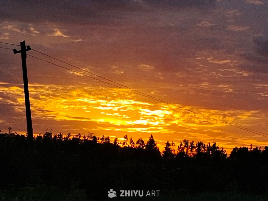 夕阳下的电线杆