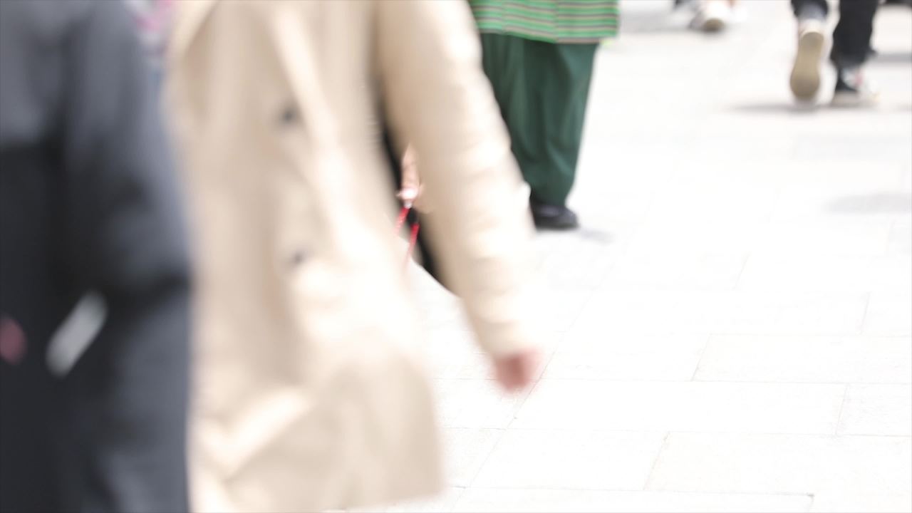西藏旅游的游客