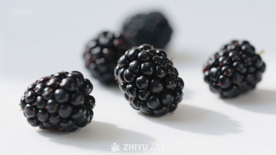 新鲜黑莓静物特写