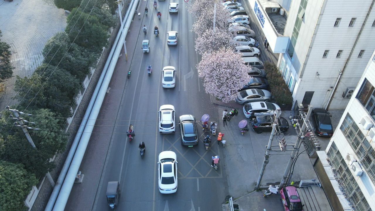 平顶山湛北路玉兰花航拍空镜