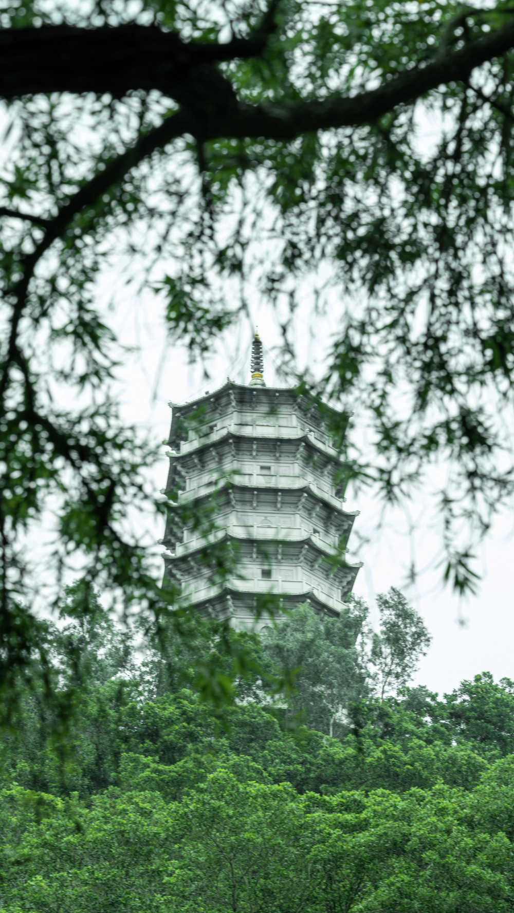 绿影小塔