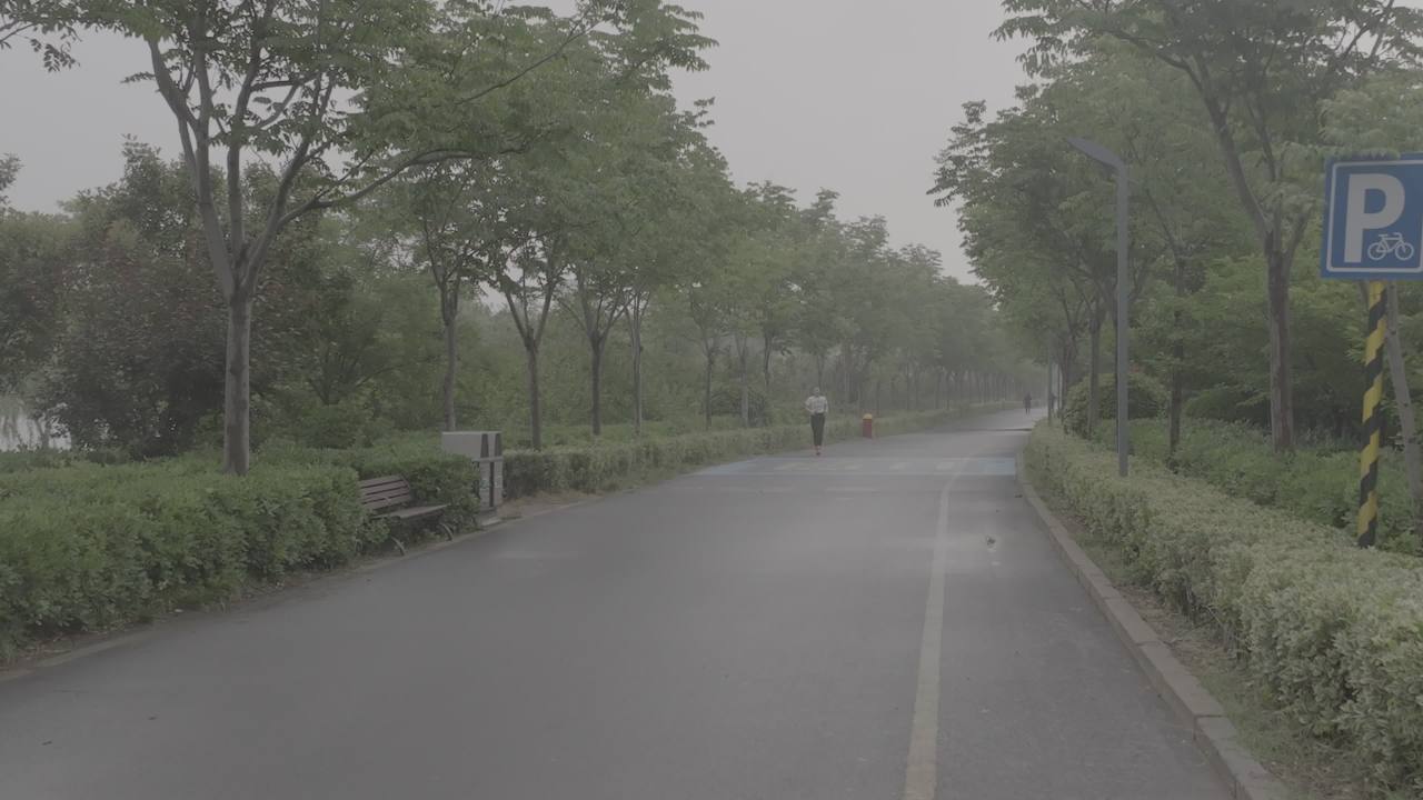 晨雾中的公园跑道