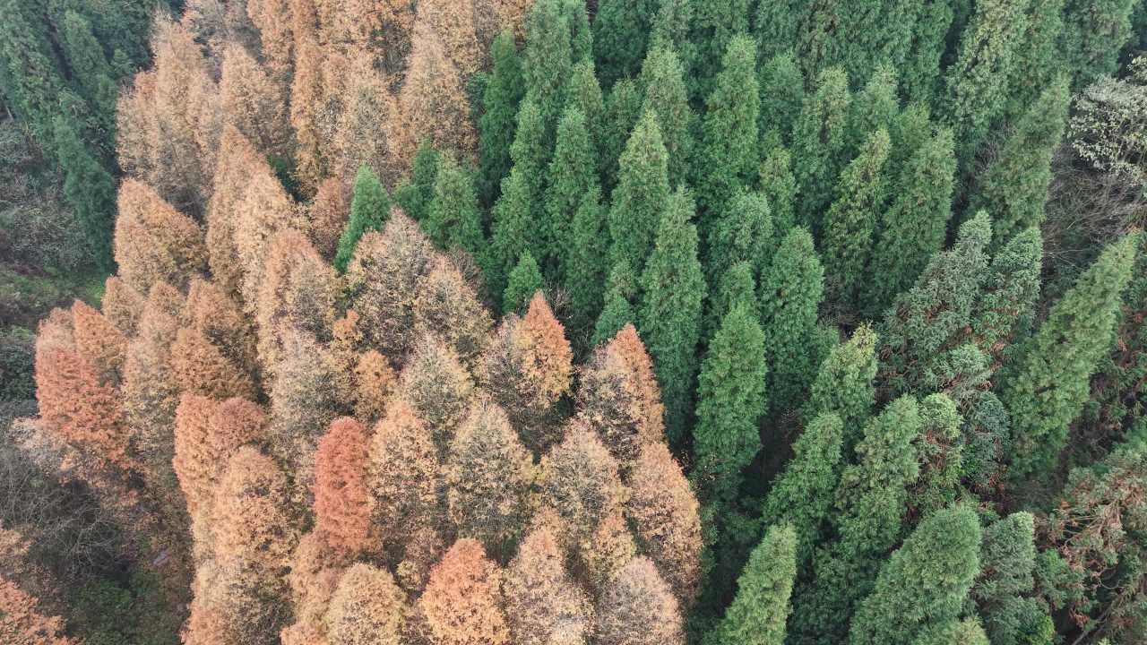 DJI_20251125132415_0006_D 2