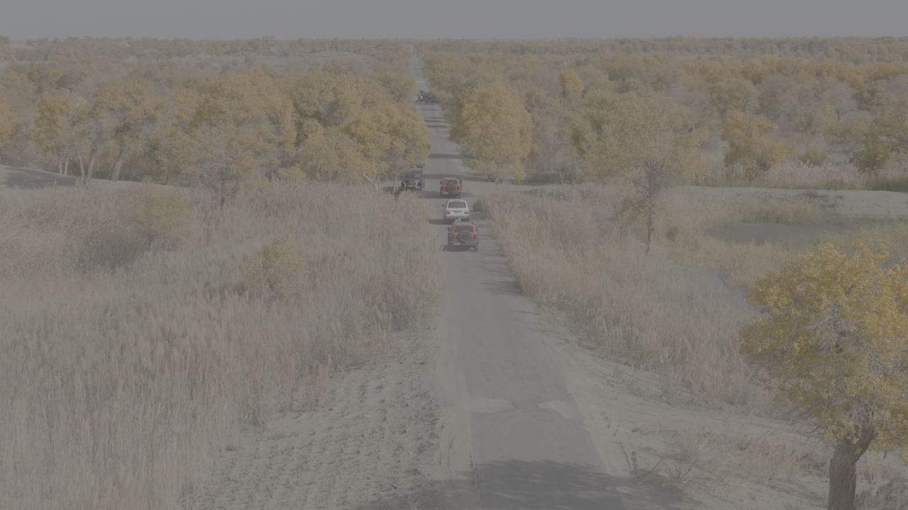 沙漠公路越野之旅