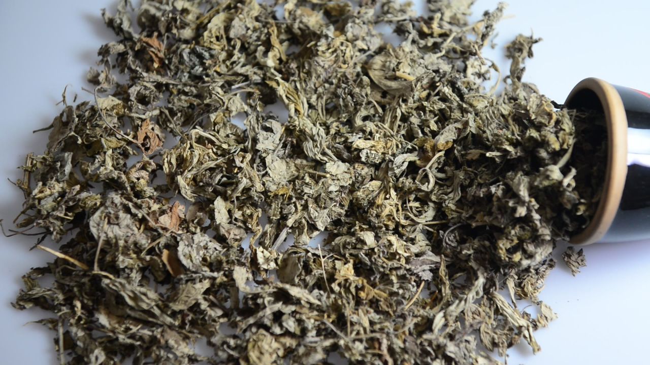 艾叶中草药 26