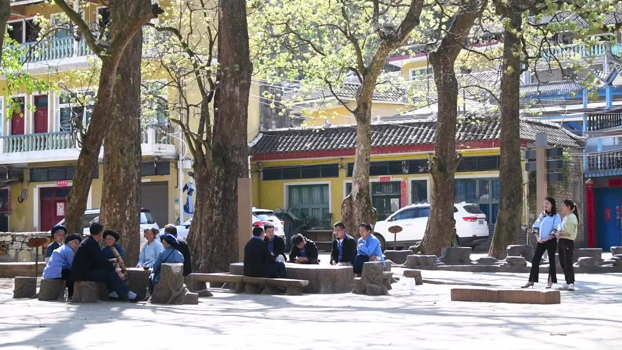 阳光大树下乡村老年人生活