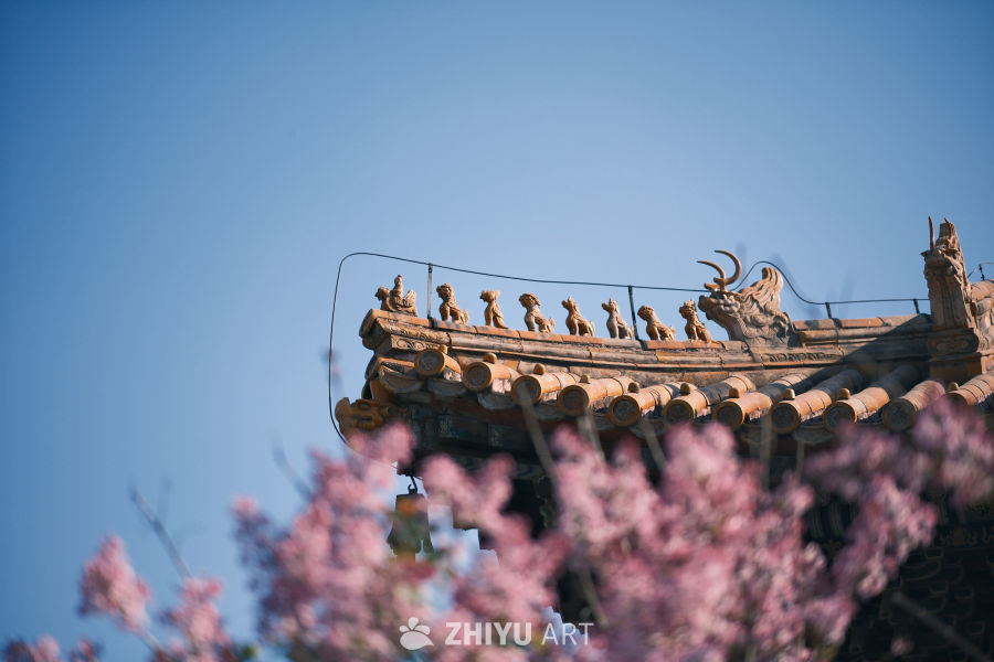 雍和宫 11