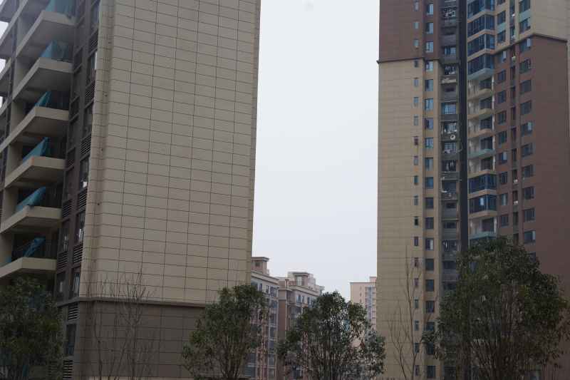 城市 13