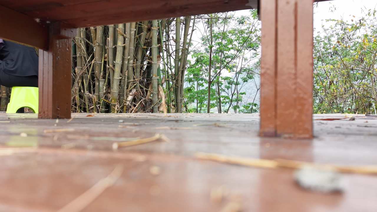 岩画 2