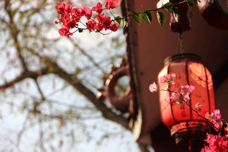 灯