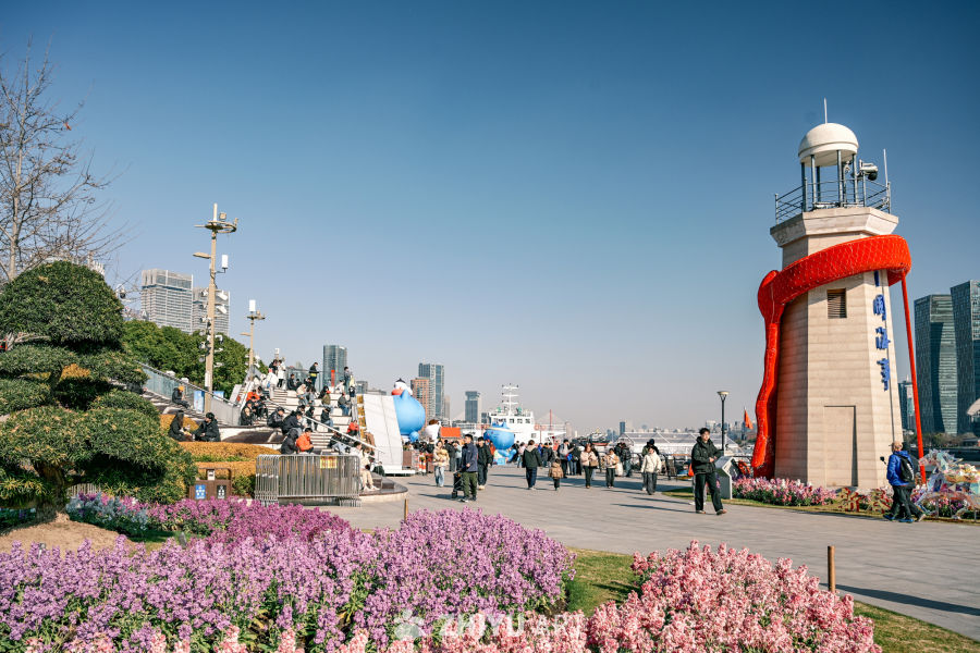 上海北外滩紫罗兰