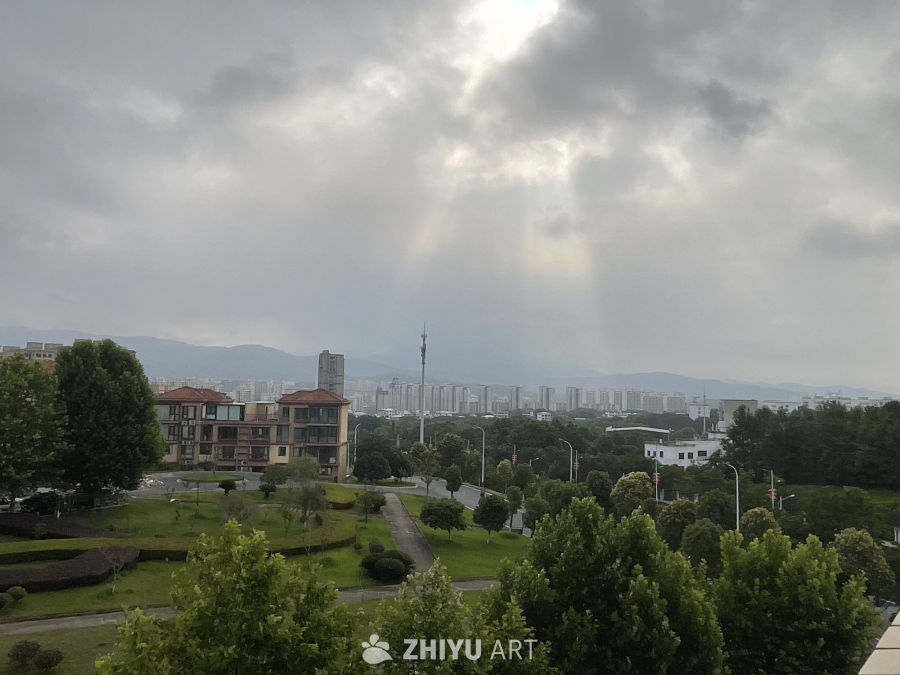 城市绿洲与高楼林立