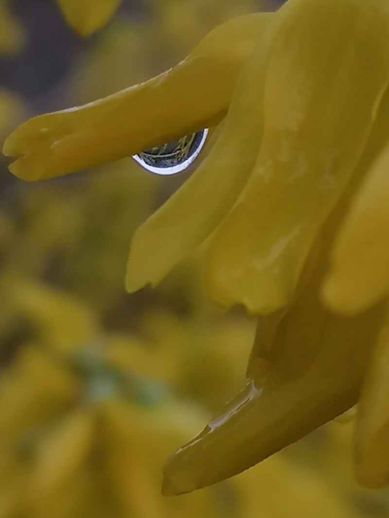 灵动