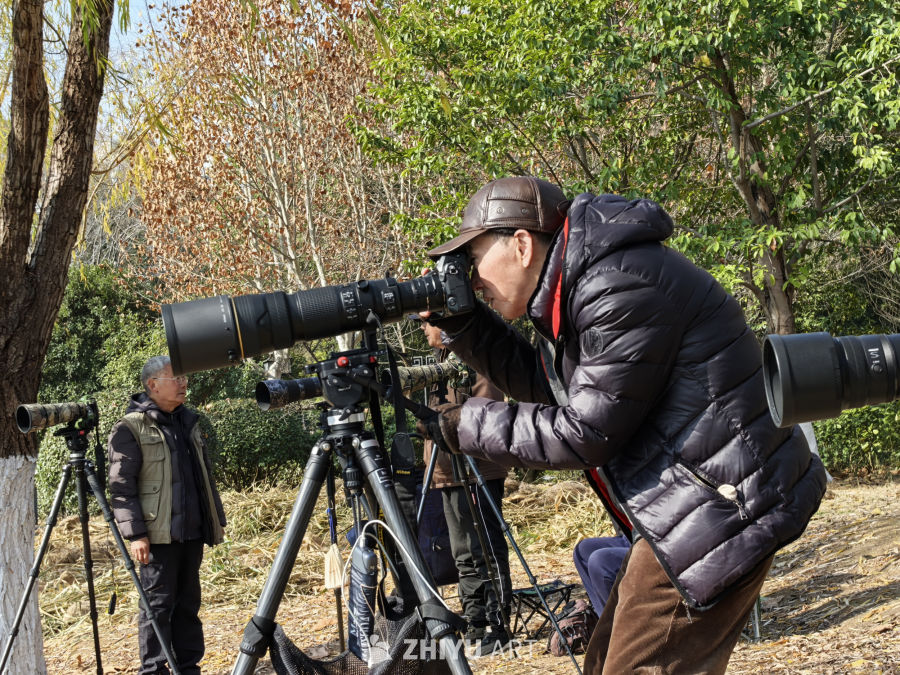 长枪短炮打鸟队