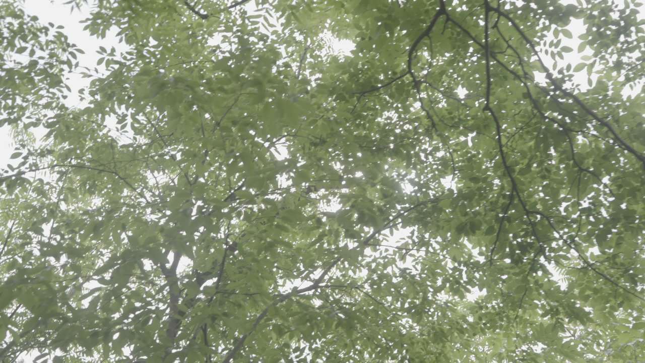如意峰 18