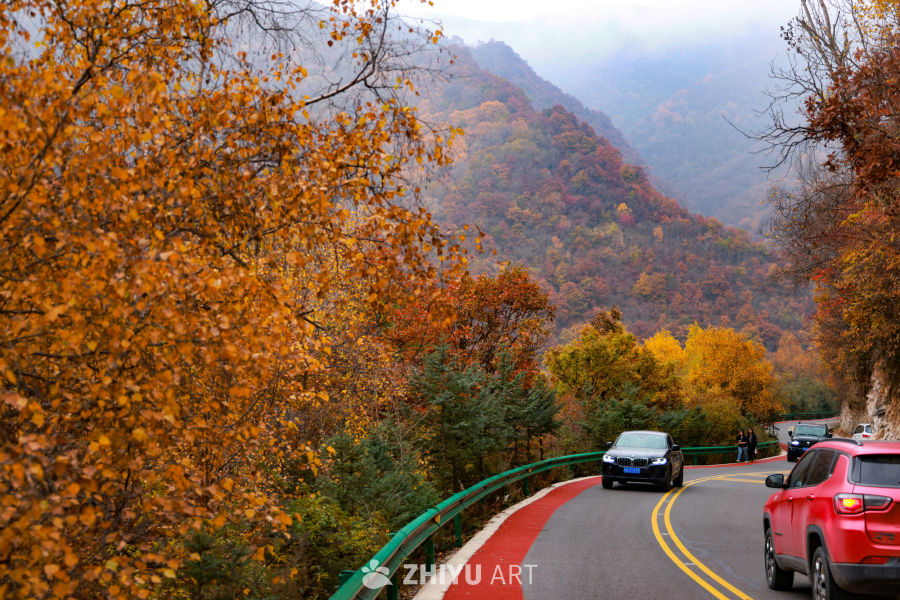 兰州七里河区云顶山秋景 5