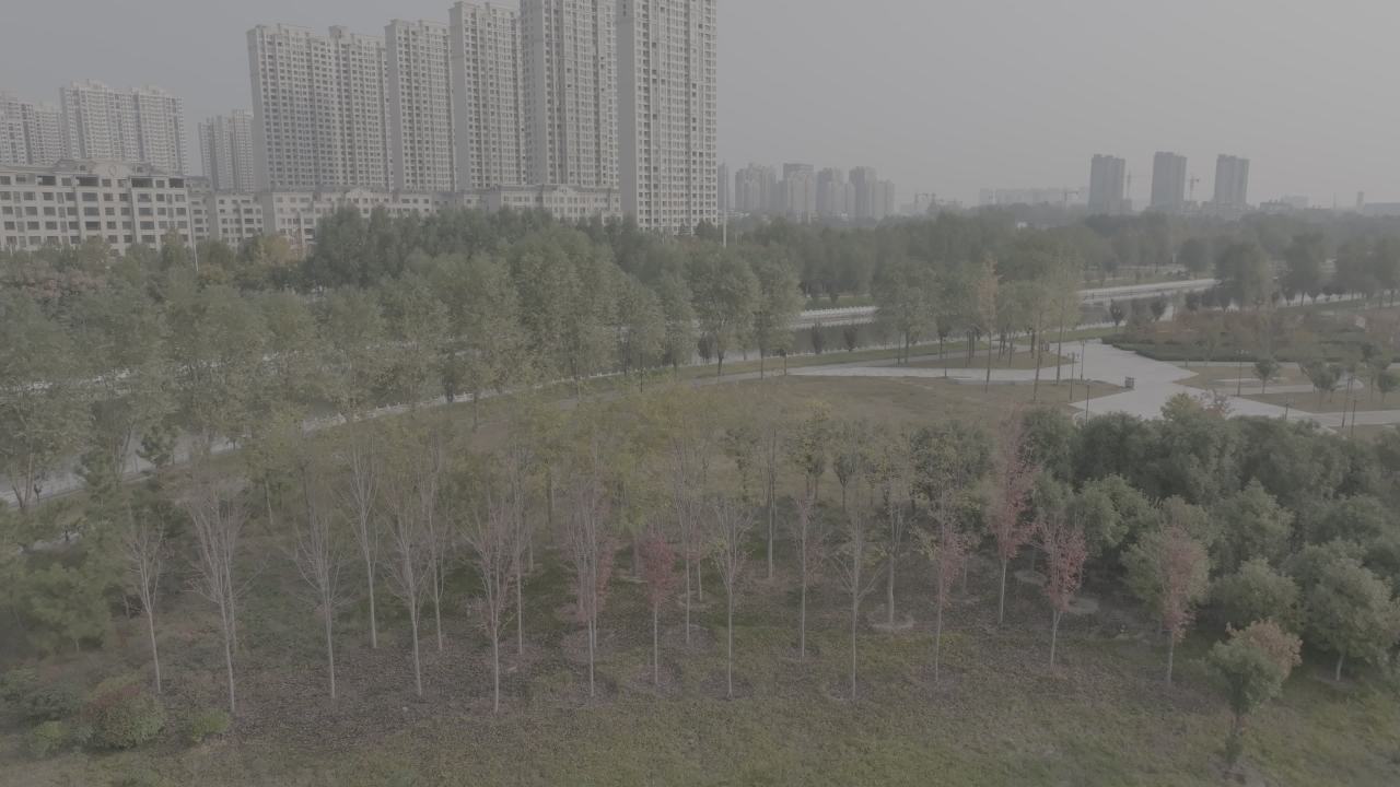 城市中的绿洲