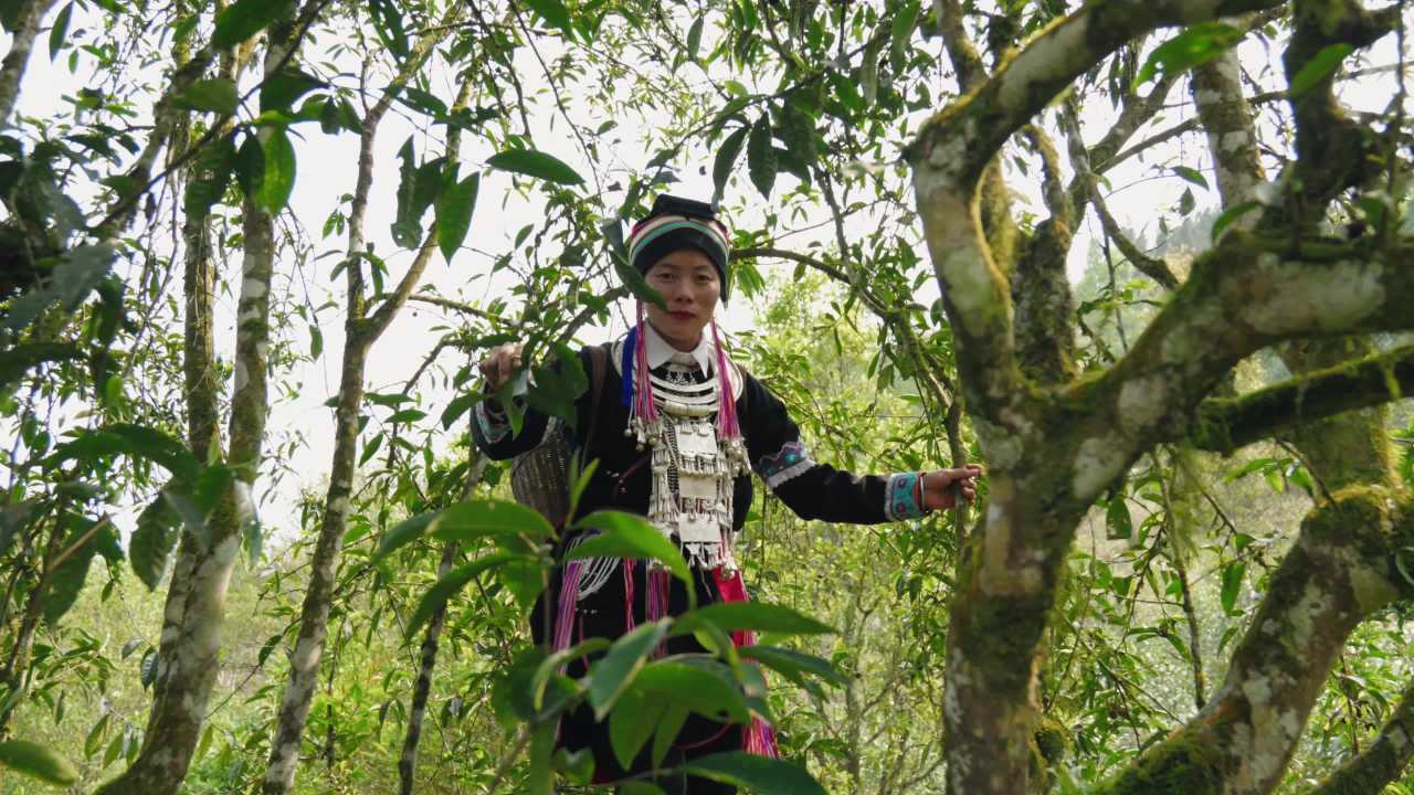 森林中的手工艺人