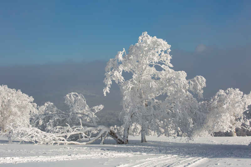 冰雪雾凇 3