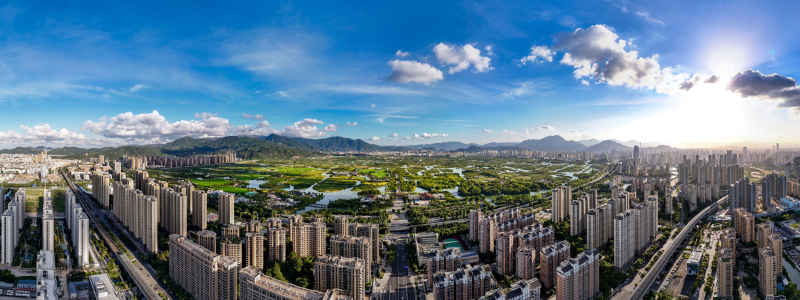 温州三垟湿地 1