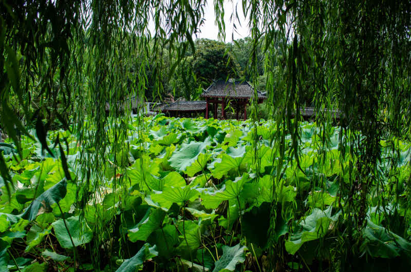 绵阳西山公园