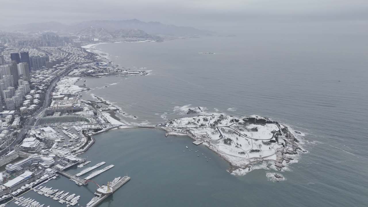 青岛小麦岛海边雪景航拍 3