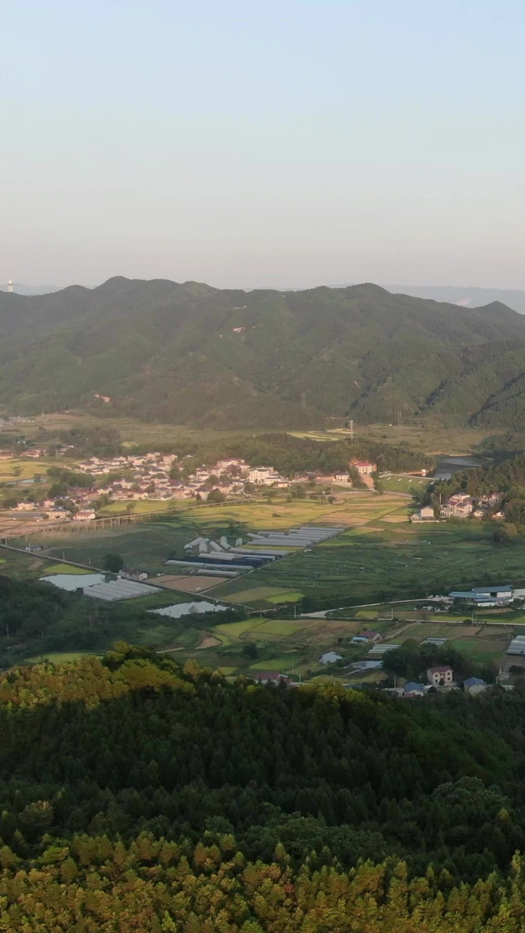  山川丘陵美丽乡村农业种植竖屏