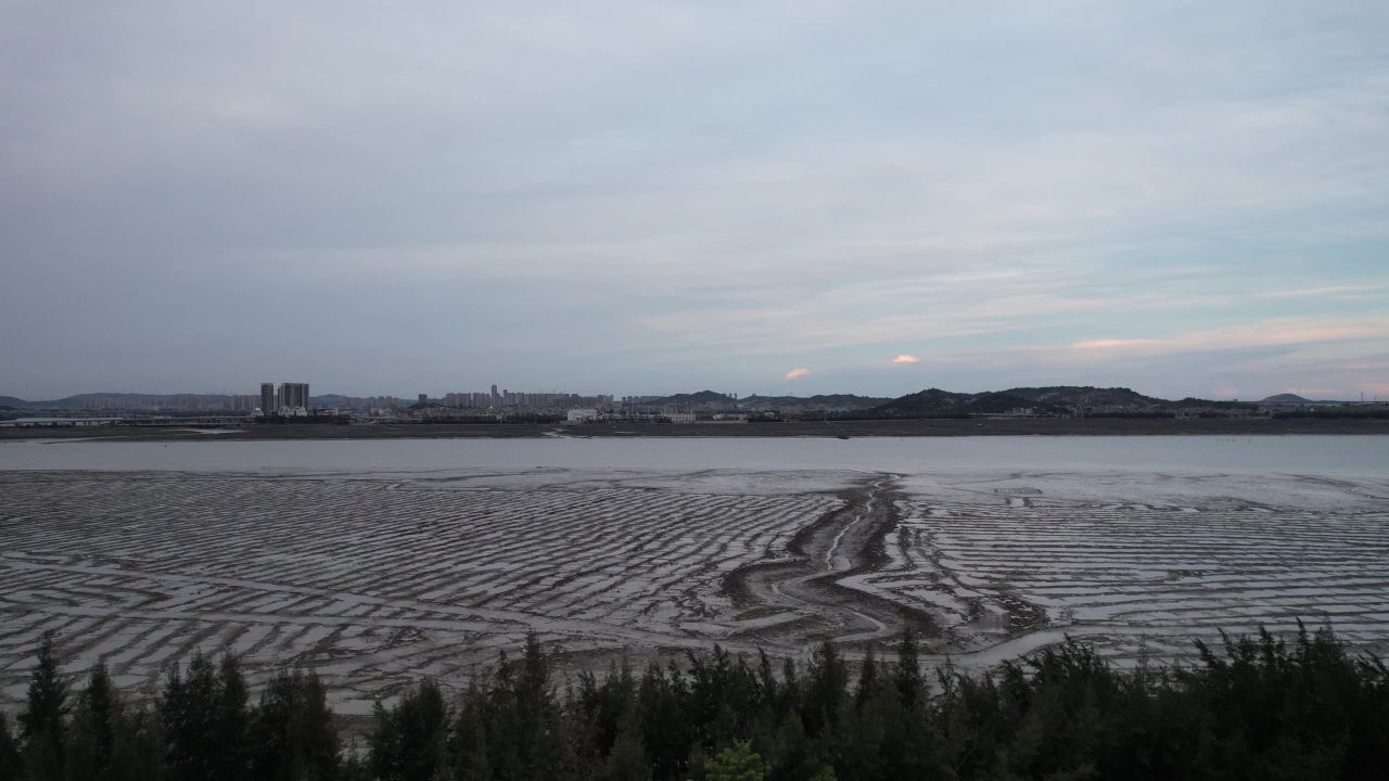 退潮后大海海浪沙滩航拍