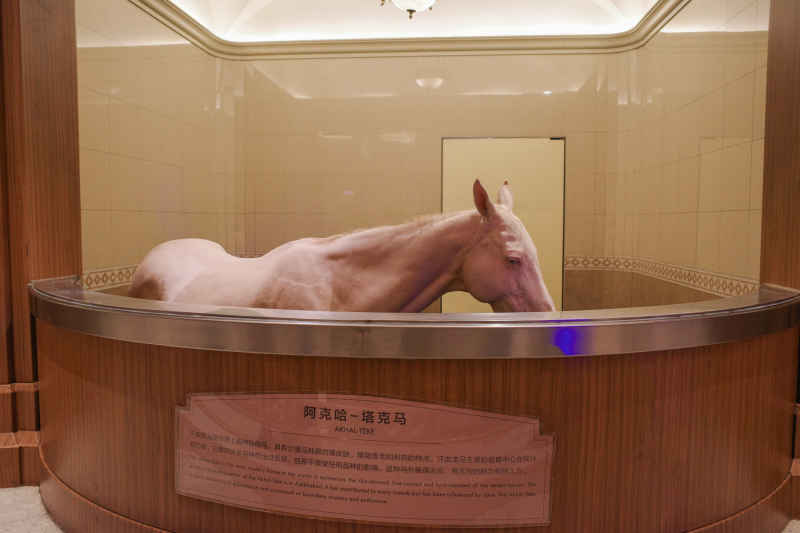 海澜马文化展馆 7