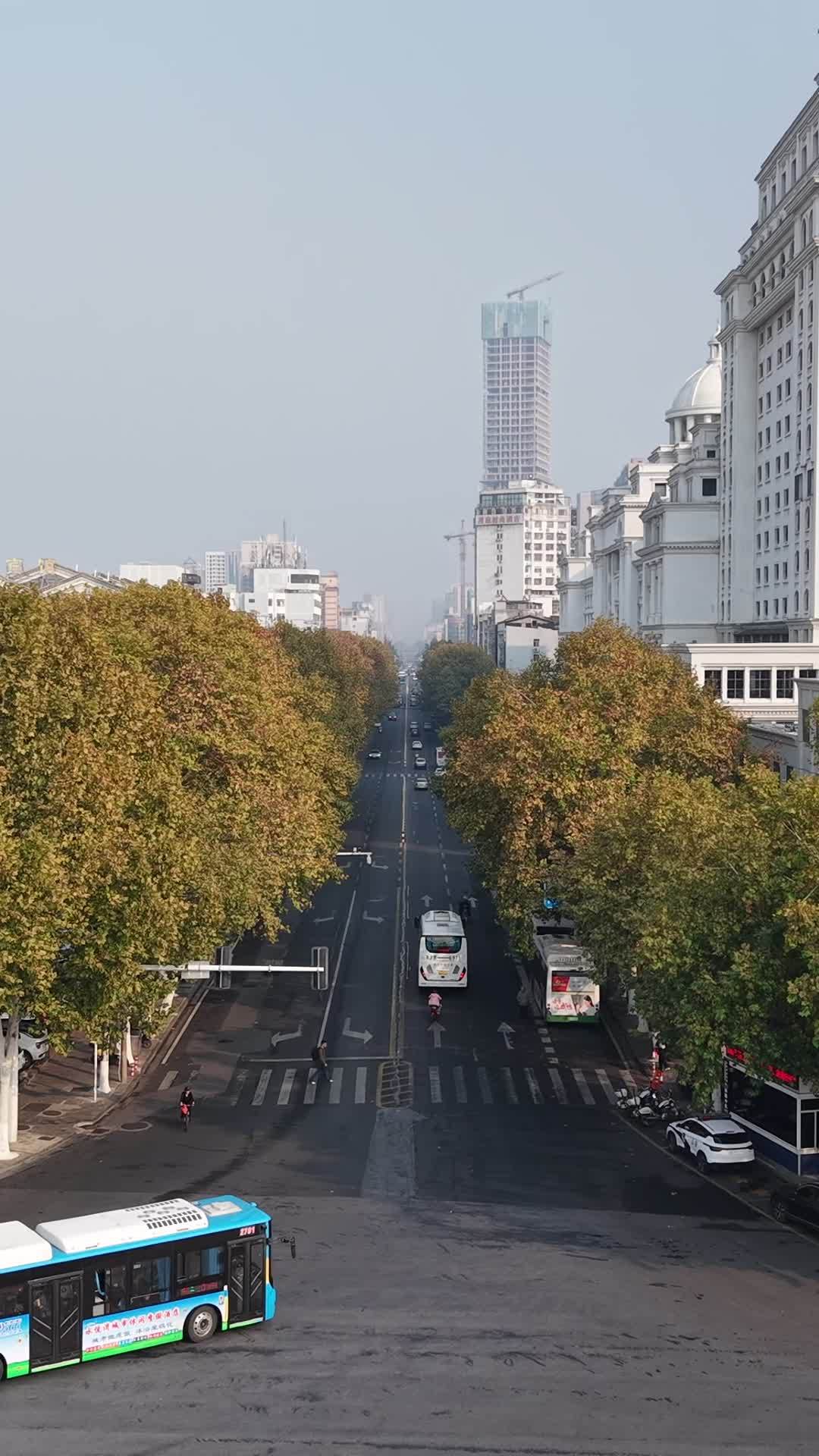 城市秋日街景