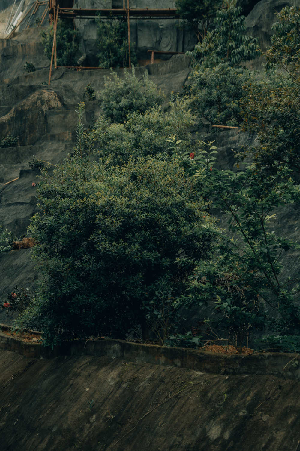寺院禅意场景