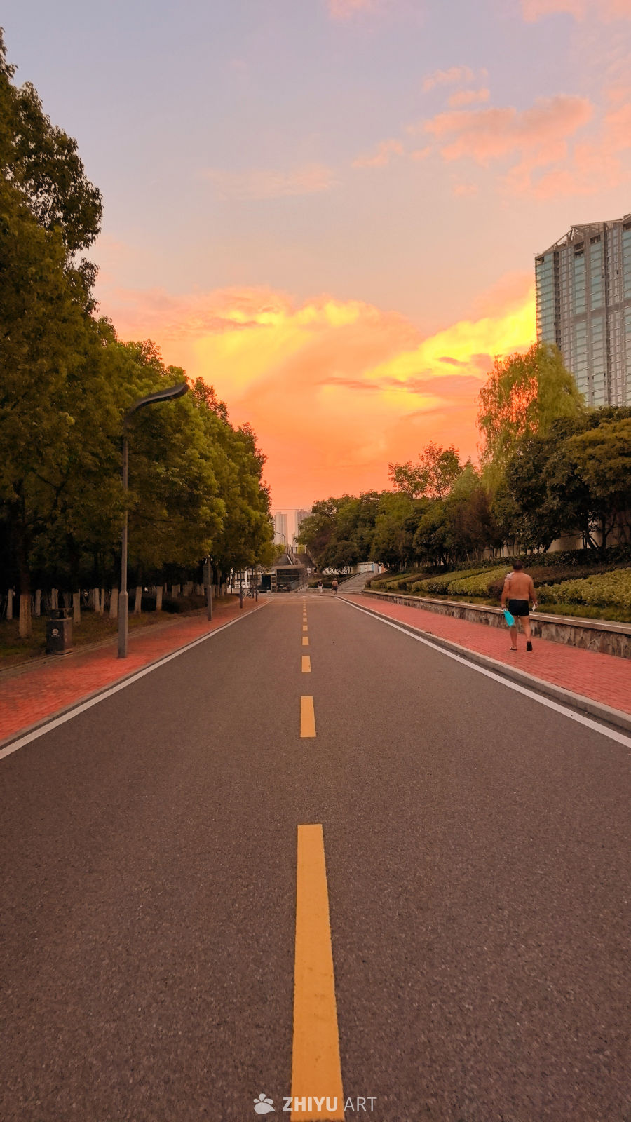 夕阳无限好，只是近黄昏 🌇