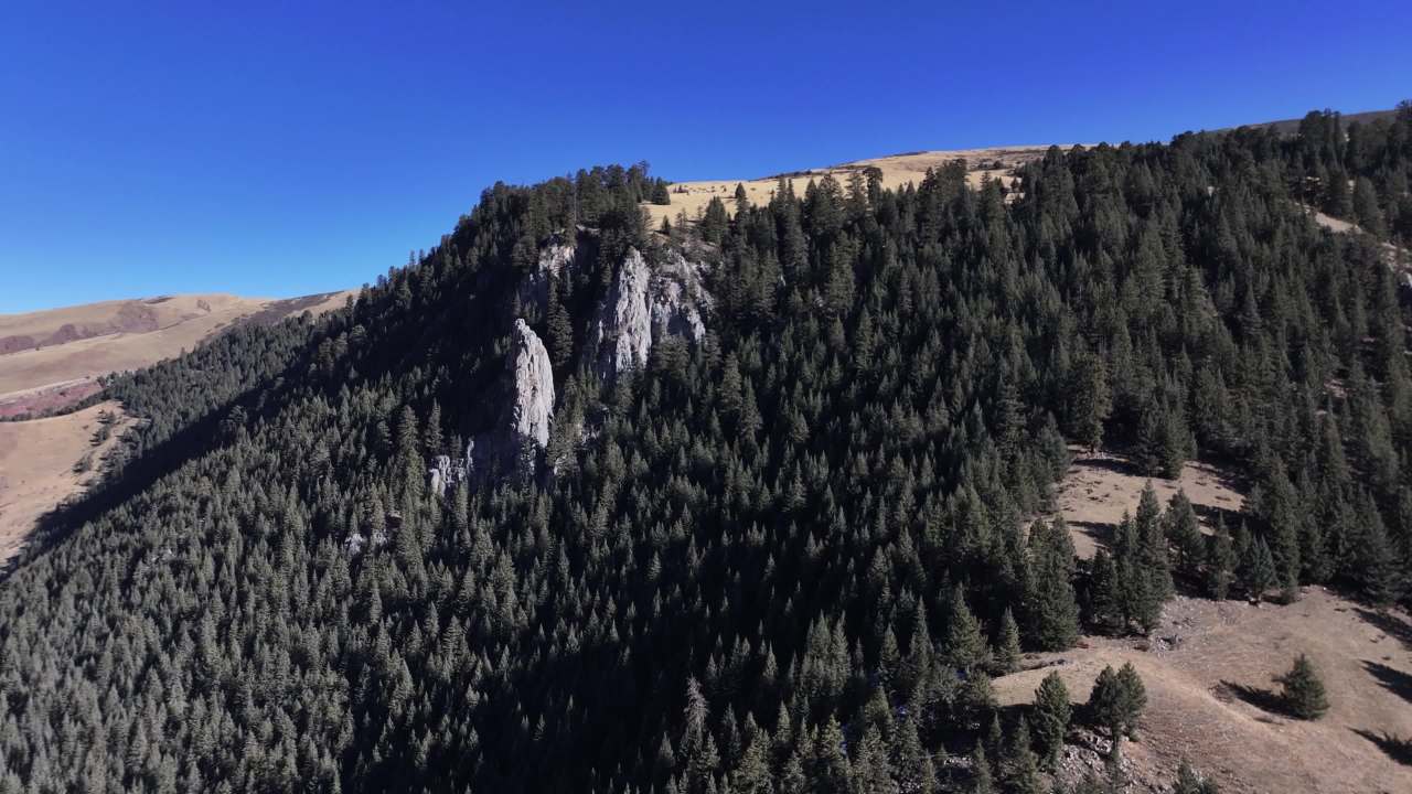 壮观森林峡谷全景航拍