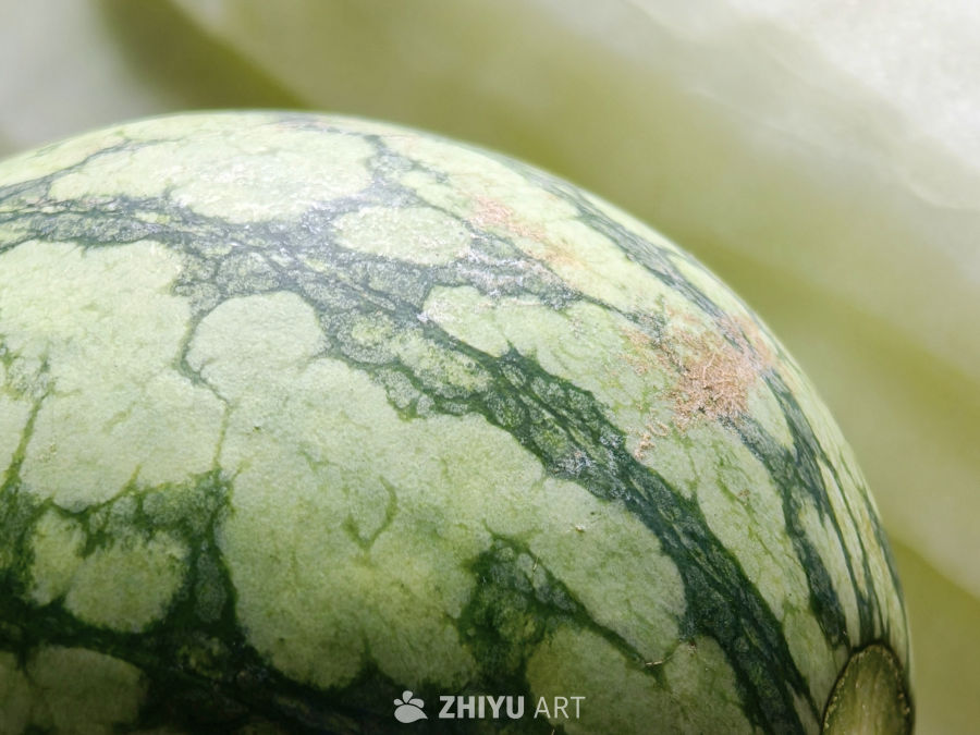 西瓜与老黄瓜静物素材