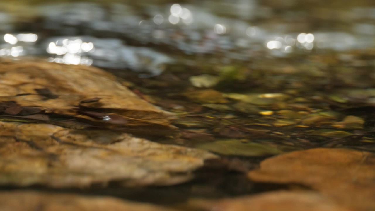 山泉水矿泉水潺潺小溪流水瀑布 40