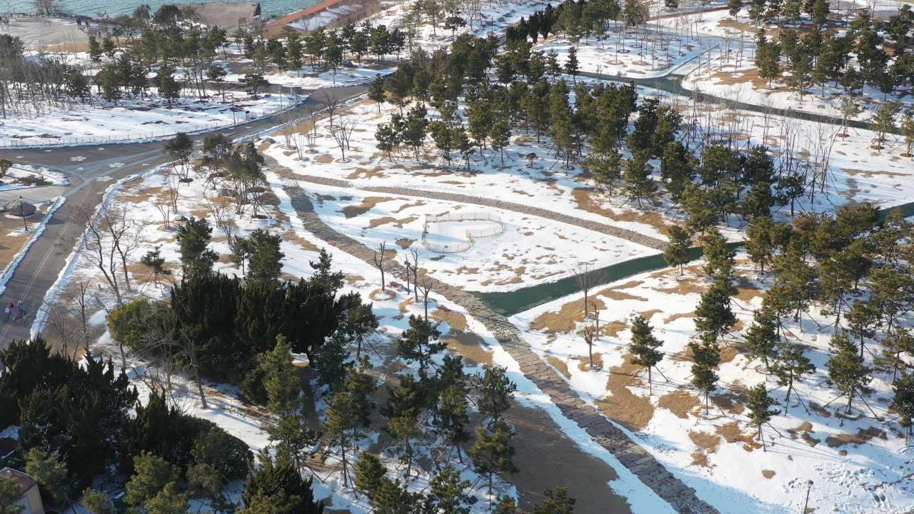 青岛小麦岛海边雪景航拍 5